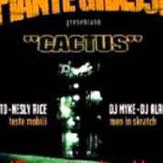 The lyrics PUOI GUARDARE of PIANTE GRASSE is also present in the album Cactus