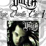 The lyrics COSA VUOI DA ME of VACCA is also present in the album Faccio quello che voglio (2007)