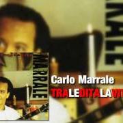 The lyrics MALEDETTI of CARLO MARRALE is also present in the album Tra le dita la vita (1994)