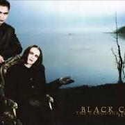 The lyrics THE SCENT OF A SCREAMING WOMAN of BLACK COUNTESS is also present in the album The language of flesh (2006)