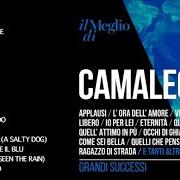 The lyrics QUELL'ATTIMO IN PIÙ of CAMALEONTI is also present in the album Sanremo