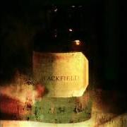 The lyrics SOME DAY of BLACKFIELD is also present in the album Blackfield ii (2007)