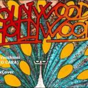 The lyrics DENTRO GLI OCCHI of ROBERTO VECCHIONI is also present in the album Hollywood hollywood (1981)