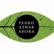 The lyrics PENSABA EN VOS of PEDRO AZNAR is also present in the album Ahora (2012)