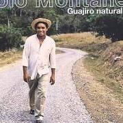 The lyrics DONDE ESTARÁ of POLO MONTANEZ is also present in the album Guajiro natural