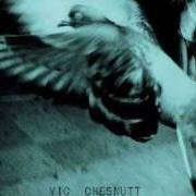 The lyrics SPLENDID of VIC CHESNUTT is also present in the album North star deserter (2007)