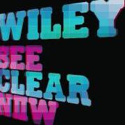 The lyrics RYDER INTRO of WILEY is also present in the album See clear now (2008)
