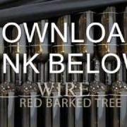 The lyrics CLAY of WIRE is also present in the album Red barked tree (2011)