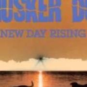 The lyrics HOW TO SKIN A CAT of HUSKER DU is also present in the album New day rising (1985)