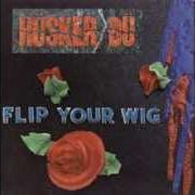 The lyrics MAKES NO SENSE AT ALL of HUSKER DU is also present in the album Flip your wig (1985)