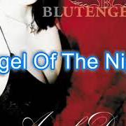 The lyrics THE END OF LOVE (REMIX BY BLACK HEAVEN) of BLUTENGEL is also present in the album Angel dust (2002)