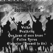 The lyrics ONE HOME OF ONCE BRAVE of NACHTFALKE is also present in the album Doomed to die (2002)