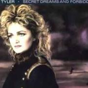 The lyrics IF YOU WERE A WOMAN (AND I WAS A MAN) of BONNIE TYLER is also present in the album Secret dreams and forbidden fire (1986)