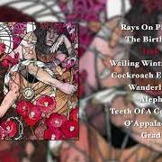 The lyrics BLACKPOWDER ORCHARD of BARONESS is also present in the album Blue record (2009)