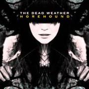 The lyrics SO FAR FROM YOUR WEAPON of THE DEAD WEATHER is also present in the album Horehound (2009)