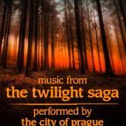 The lyrics POSSIBILITY - LYKKE LI of THE TWILIGHT SAGA is also present in the album The twilight saga: new moon (2009)