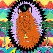 The lyrics WHEN WILL YOU COME of WAVVES is also present in the album Kings of the beach