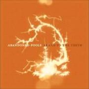 The lyrics LUCKY of ABANDONED POOLS is also present in the album Armed to the teeth (2005)