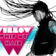 The lyrics WHIP MY HAIR of WILLOW SMITH is also present in the album Whip my hair