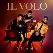The lyrics HASTA DÓNDE of IL VOLO is also present in the album Ámame (2018)