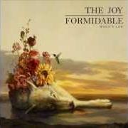 The lyrics SILENT TREATMENT of THE JOY FORMIDABLE is also present in the album Silent treatment (2013)