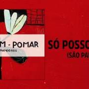 The lyrics SÓ POSSO DIZER (SÃO PAULO) of NANDO REIS is also present in the album Jardim - pomar (2016)