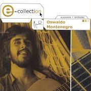 The lyrics LUA E FLOR of OSWALDO MONTENEGRO is also present in the album E-collection (2003)