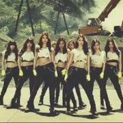 The lyrics CHAIN REACTION of GIRLS' GENERATION is also present in the album The best (2014)