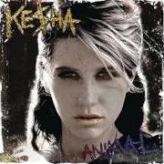 The lyrics WE R WHO WE R of KESHA is also present in the album Cannibal (2010)