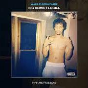 The lyrics BIG HOMIE FLOCKA of WAKA FLOCKA FLAME is also present in the album Big homie flocka (2018)