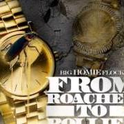 The lyrics TOOK OFF of WAKA FLOCKA FLAME is also present in the album From roaches to rollies (2013)