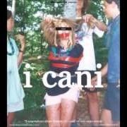 The lyrics THEME FROM THE CAMERETTA of I CANI is also present in the album Il sorprendente album d'esordio dei cani (2011)