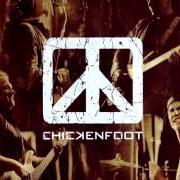 The lyrics LEARNING TO FALL of CHICKENFOOT is also present in the album Chickenfoot (2009)