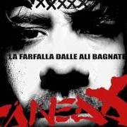 The lyrics NON VOLO PIÙ of CANEDA is also present in the album La farfalla dalle ali bagnate (2009)