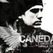The lyrics ADAM 02 of CANEDA is also present in the album L'angelo da un'ala sola (2006)
