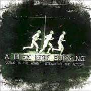 The lyrics -INTERLUDE- of A PLEA FOR PURGING is also present in the album Quick is the word ; steady is the action - ep (2007)