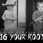 The lyrics HEATWAVE of FLORIDA GEORGIA LINE is also present in the album Dig your roots (2016)