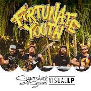 The lyrics SEE IT of FORTUNATE YOUTH is also present in the album Live life (2019)