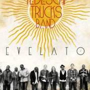 The lyrics BALL AND CHAIN of TEDESCHI TRUCKS BAND is also present in the album Revelator (2011)