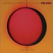 The lyrics CANTO DO POVO DE UM LUGAR / UM TOM of CAETANO VELOSO is also present in the album Ofertório (feat. tom veloso) [ao vivo] (2018)