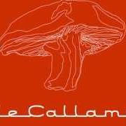 The lyrics OLOR A GAS of CAFÉ TACUBA is also present in the album Vale callampa (2002)