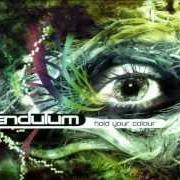 The lyrics PLASTIC WORLD of PENDULUM is also present in the album Hold your colour (2005)