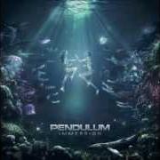 The lyrics DIFFERENT of PENDULUM is also present in the album In silico (2008)