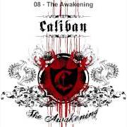 The lyrics I'LL SHOW NO FEAR of CALIBAN is also present in the album The awakening (2007)