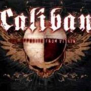 The lyrics CERTAINTY... CORPSES BLEED COLD of CALIBAN is also present in the album The opposite from within (2004)