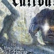 The lyrics SONG ABOUT KILLING of CALIBAN is also present in the album The undying darkness (2006)