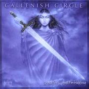 The lyrics PASSIONATE DANCE of CALLENISH CIRCLE is also present in the album Graceful... yet forbidding (1999)
