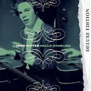 The lyrics YOU DON'T MAKE IT EASY BABE of JOSH RITTER is also present in the album Hello starling (2003)