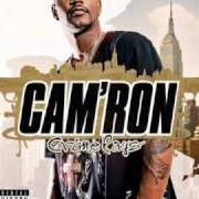 The lyrics SILKY (NO HOMO) of CAM'RON is also present in the album Crime pays (2008)