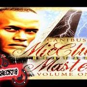 The lyrics SAY IT AIN'T SO of CANIBUS is also present in the album Micclub mixtape master, volume one (2005)